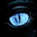 avatar Yori