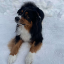 Fe79fda15a9ead049fe58effdab59222