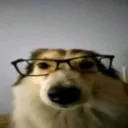 coco3217