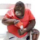 its_thegator02