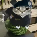 alex10ader123 avatar