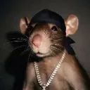 trxfrr