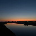 avatar calyptomatida