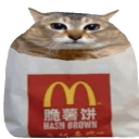 Discord Avatar