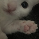 avatar ᥲᥣᥱ᥊ᥲ