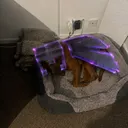 darkmilo666