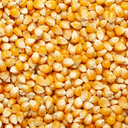 Kernel