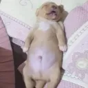 danielxd0044_45871 avatar