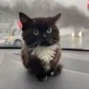 Аватар ogyrechik_dream.