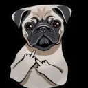 puggoskk_92691
