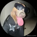 mathias_come_weas avatar