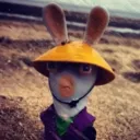 mrdingle7122 avatar