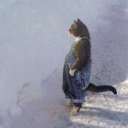 Discord Avatar