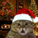 avatar 𝙽𝚎𝚘𝚗 𝙶𝚛𝚎𝚎𝚗