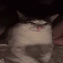 thatonemonkehh