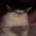 thatonemonkehh