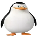 penguino.reincarnated
