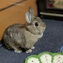 yoshito0717
