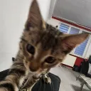 tomasnothere_90883 avatar