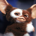 avatar Pumbaa