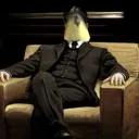 birb478