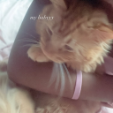 avatar ₍ᐢ.ˬ.ᐢ₎ ♡