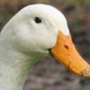 xXThat_Guy6921Xx