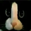 skufwas