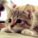 alexcarb000_90284