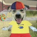 Discord Avatar