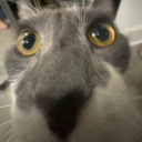 avatar an asian named lukas