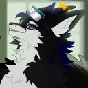 dwolf_0