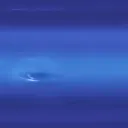 neptvneeee