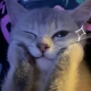 sleepy_xen