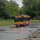 pitersok