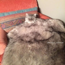 galactic671201's Avatar