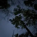 dark_vhoq_