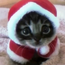 avatar 𑄝 ℳochi 잎  𓆩♡𓆪