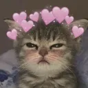 amiraelfeky