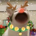 avatar Jolly🎄Kushina