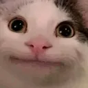 ._begula_