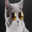 minionniabravanel