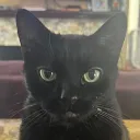zz9