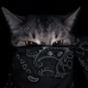 inurdreamslol avatar