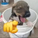 elrandom_total224 avatar