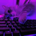 herixd33