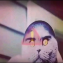 avatar KENAN