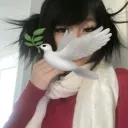 26610 avatar