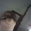 mesko49