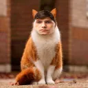 Аватар swiftkey7523